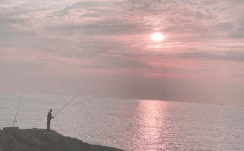 ����Сѧ���ļ���15ƪ