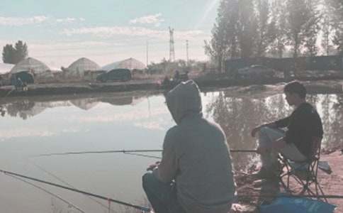 《花猫钓鱼》教案