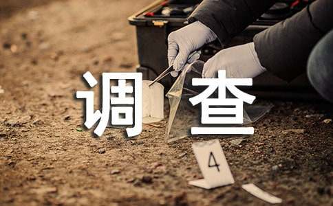 ��Сѧ�����ӵĵ��鱨��