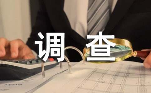 年关于本科毕业社会调查报告经典范文