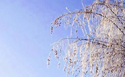 ������������ - ��ö�������