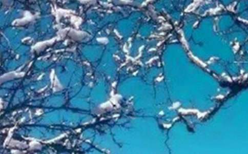 ���컰������