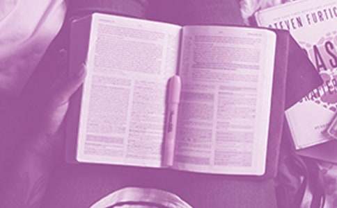 《动物庄园》读后感3篇