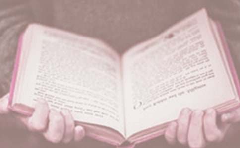 读书日活动策划书