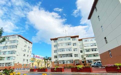 ������Ѻ��ŵ��