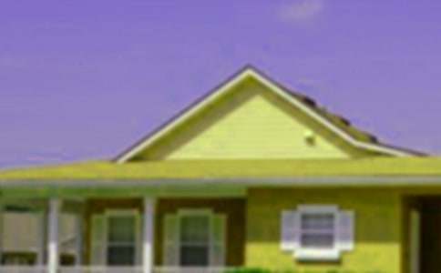 大班美术教案《小房子》