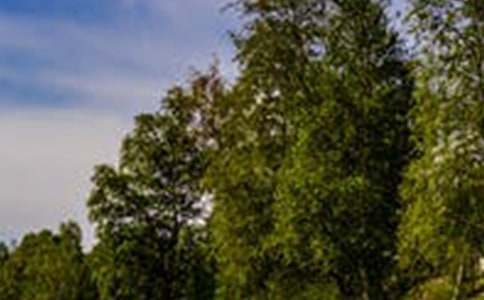 д�����ģ����ε��³��� - ��÷羰����