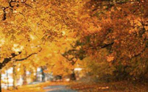 ʵ�õĸ��з羰���ļ���7ƪ