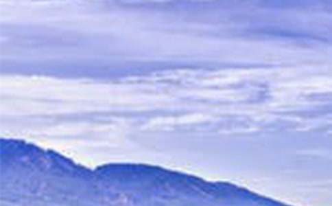 �羰԰��רҵ���ʵ������