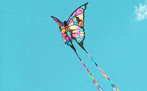 《放风筝》教学反思