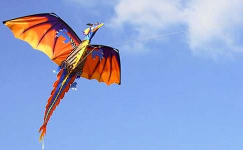 放风筝的小学作文