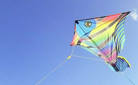 �ŷ��ݻ�������13ƪ