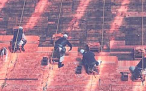 ���ع��̺�ͬ����15ƪ