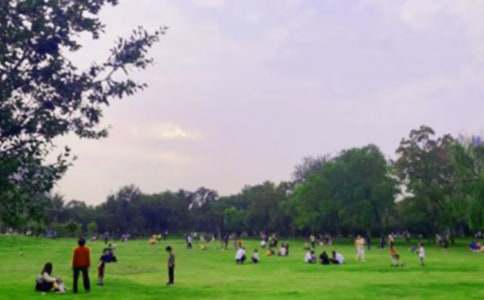 【推荐】游公园小学作文四篇