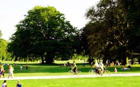 �Թ�԰һ�ǻ�������