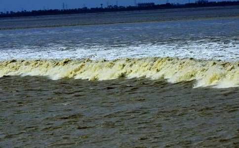 观潮》教学反思