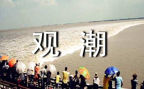 ���۳�����ѧ���(15ƪ)