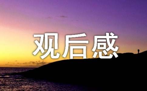 宝葫芦的秘密观后感【热】