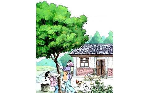 �����꡷��ѧ��˼ �����ѧ��˼����