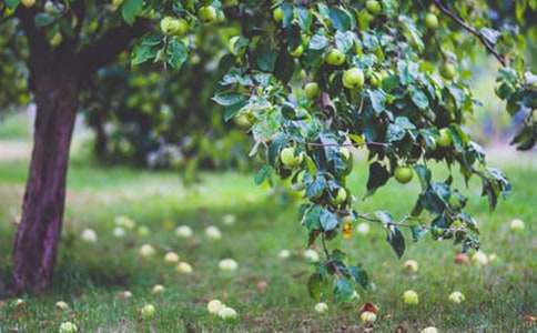 ��԰ת�ú�ͬ��������