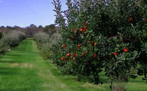 ��԰ת�ú�ͬ����15ƪ