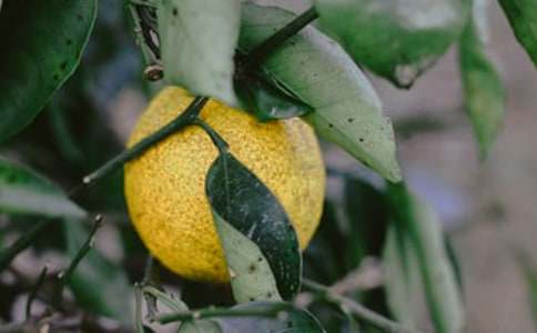 ���˹�԰�а���ͬ7ƪ