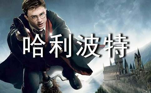 哈利波特观后感【热门】