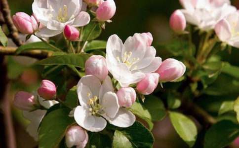 ���㺣�Ĺۺ��9ƪ