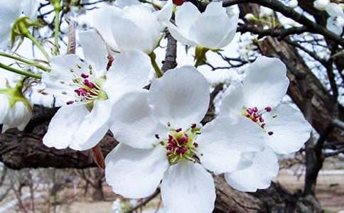 �����㺣�ġ��ۺ��(����15ƪ)