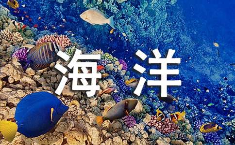 《海洋》观后感