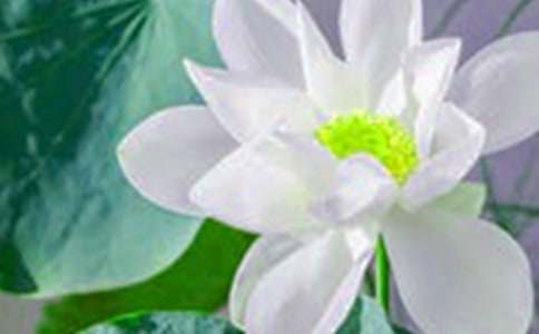 ���ɻ�����ѧ��˼(����15ƪ)