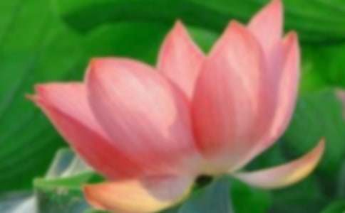 ���ġ��ɻ�����ѧ��˼