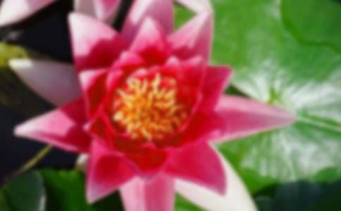 ���̰����ɻ��ɻ���ʱ��