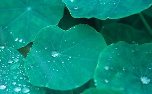 ����ҶԲԲ����ѧ��˼19ƪ