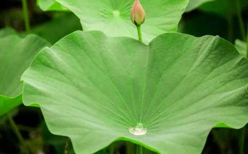 ��ҶԲԲ˵�θ�15ƪ[����]