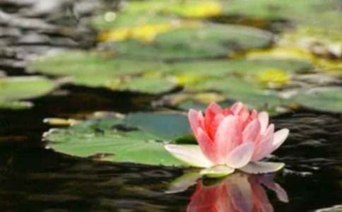 Ϊ�˺�ƽ�ۺ��