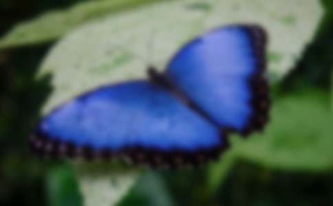 ����ֻ�������̰�(15ƪ)