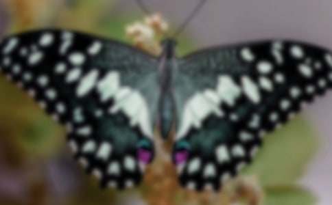 �����ĺ����̰�(15ƪ)