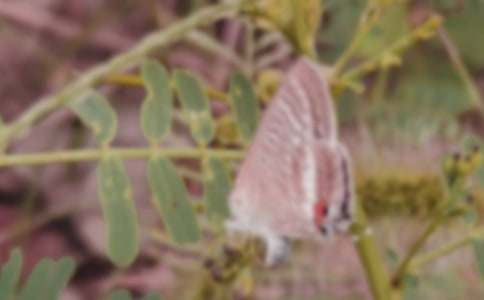 ����ֻ�������̰�