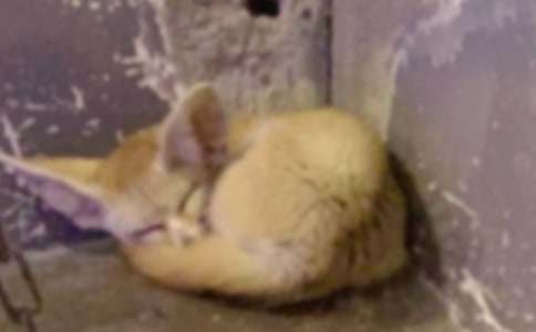 ���������ǵĹ����иУ�ͨ��23ƪ��