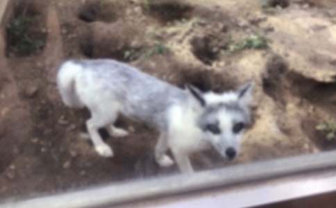 ���������ҡ��ۺ��14ƪ