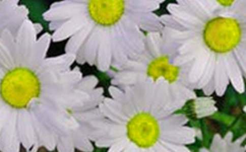 �������еĻ����������