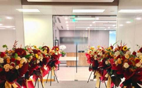 �໨���а�̰�