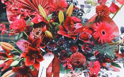 ���໨�������̰�