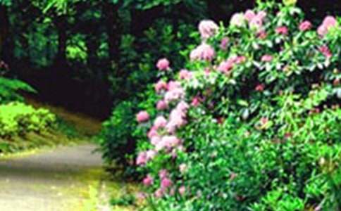 �����˵Ļ�԰����ѧ���