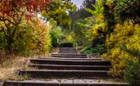 (��)���˵Ļ�԰��ѧ��˼15ƪ