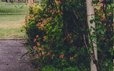 ���˵Ļ�԰�Ľ̰�