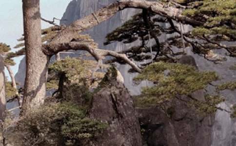 ��ɽ��ʯ��ѧ��˼