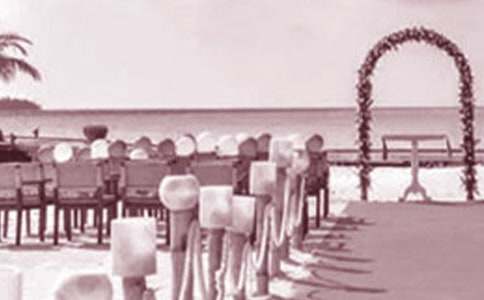 婚礼的致辞【推荐】