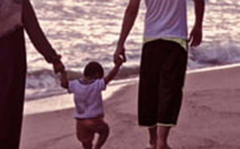 ��У�����������˼�ͥ���������ε����ڹۺ�з���